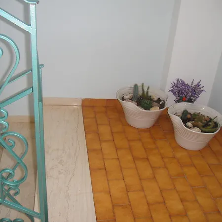 Barbara΄s 阿尔戈斯托利翁