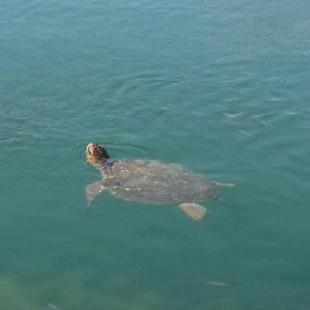 Barbara΄s דירה *